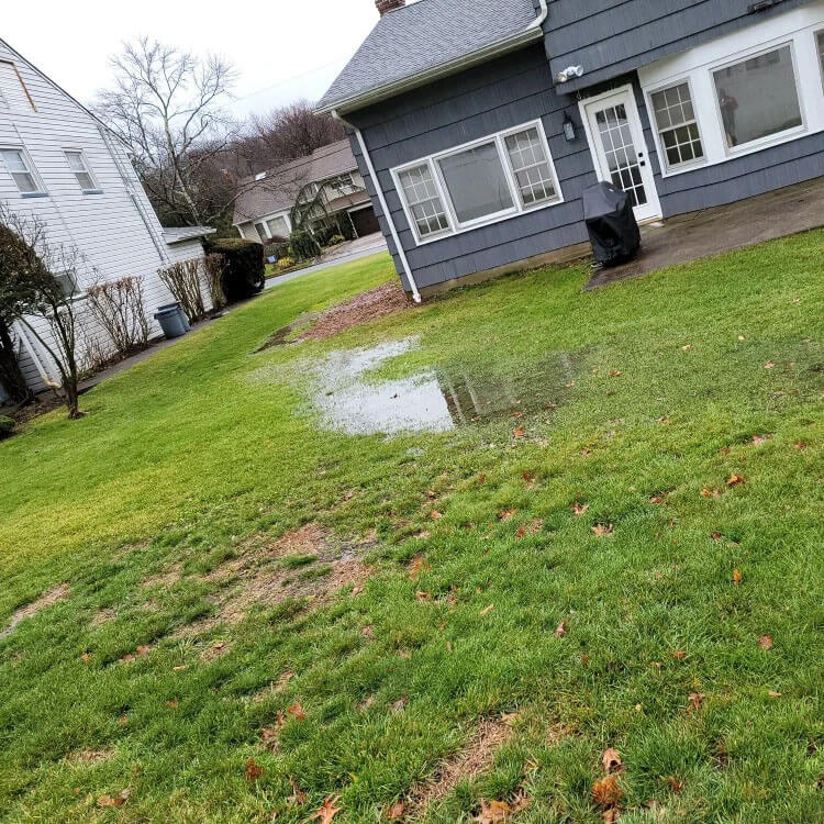 backyard flooding